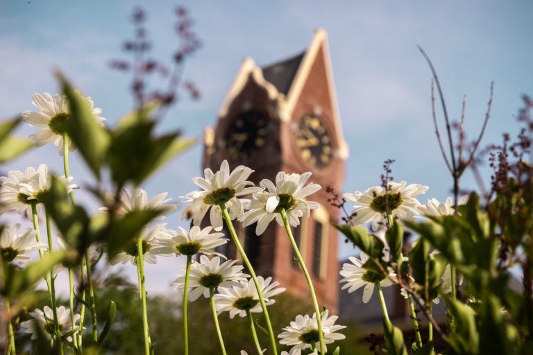 A scenic shot of Knowles Hall from a low vantage point with wildflowers in the foreground.