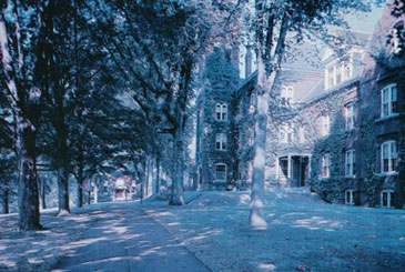 An image of the tree lined walkway in front of Knowles Hall from the 1960s